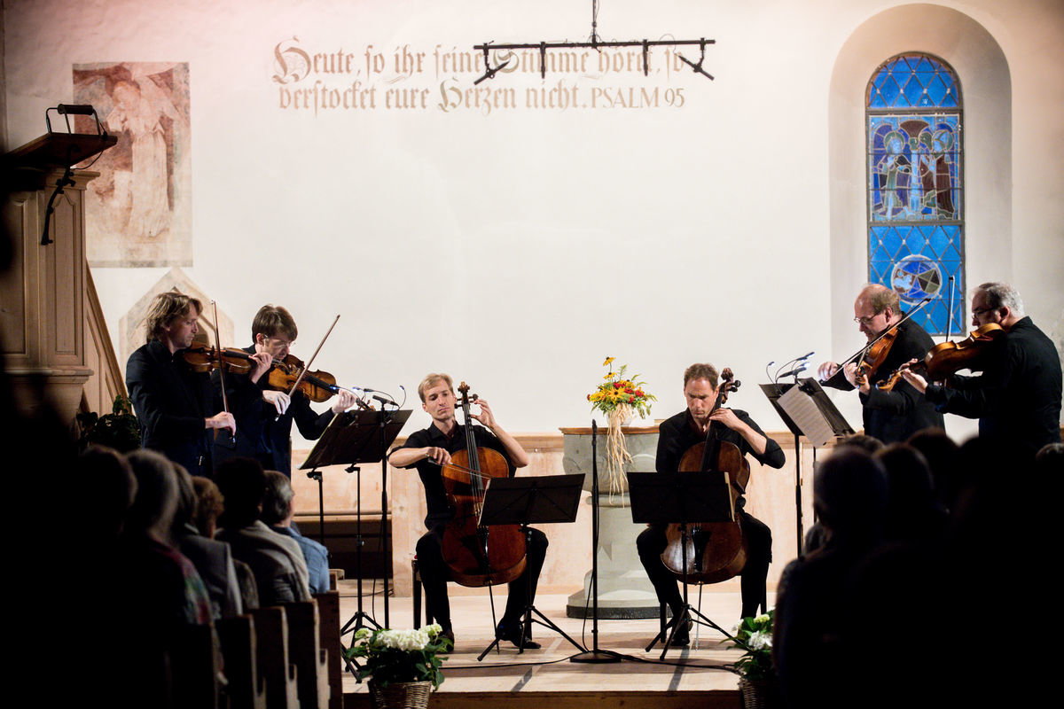 16.08.2017_berlin_stradivariusrfx_6062.jpg 16.08.2017_berlin_stradivariusrfx_6062.jpg